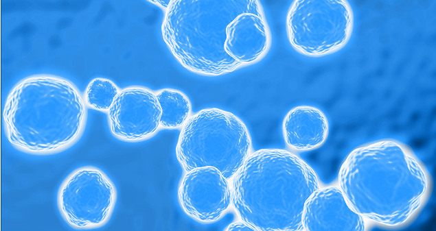 Baxter is the leader in frozen premix IV anti-infectives
